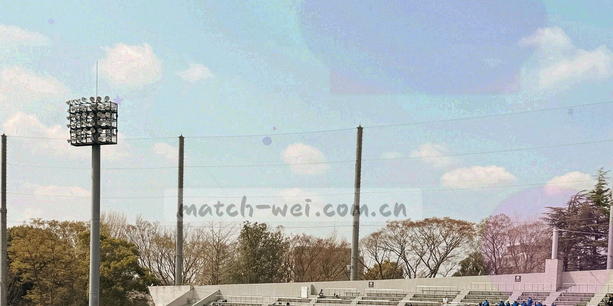 观众席虚化光斑与暖色噪点，低对比度背景